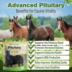 Silver Lining Herbs scoop included enables precise daily dosing for consistent equine support