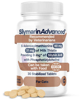 SilymarinAdvanced cat liver health tablets support liver wellness for cats.