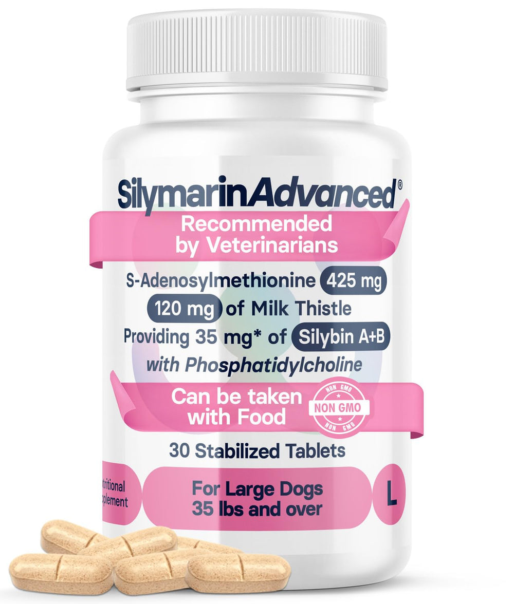 SilymarinAdvanced large dog liver health tablet for daily detox support.