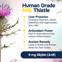 SilymarinAdvanced milk thistle extract for canine liver health