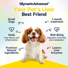 SilymarinAdvanced SAM-e formulation supports cognitive function in dogs