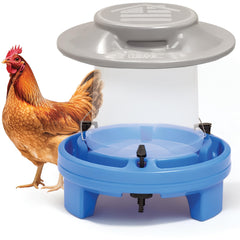 Simplay3 American Home Self-Filling Drinker outdoors delivering steady poultry hydration