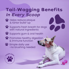 Simple Paws dental powder scoop dispensing for mess-free meals