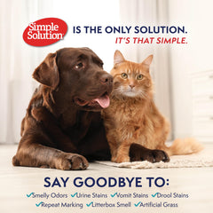 Simple Solution pet urine remover on hard floors helps prevent repeat marking.