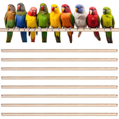 Sintuff wooden bird perch, 24 inch, double-slot design for quick cage setup and secure grip