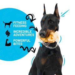 Sitka Beef Cheek Roll long-lasting chew image emphasizing extended chewing time.