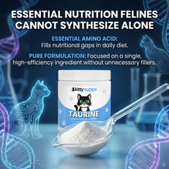 Skaal KittySupps Taurine mixed into wet food for seamless nutrition