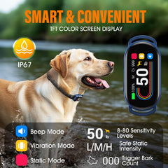 SKBAK rotatable TFT display for easy setup and progress tracking during training.