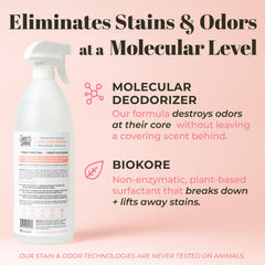 Carpet padding deep-clean action with Skout's Honor for lasting freshness.