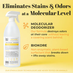 Skout's Honor dog urine destroyer cleans carpet for fresh indoor spaces.