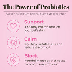 Skout’s Honor microbiome-friendly certified shampoo—respects skin balance during grooming.