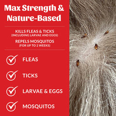 Plant-powered ingredients provide a natural pest-control option for homes with pets.