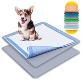 Skywin TidyFriend 2Pack tray with raised edges for spill containment