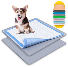 Skywin TidyFriend 2Pack tray with raised edges for spill containment