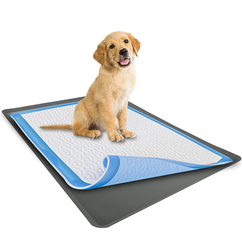 Skywin TidyFriend anti-slip base keeps pads secure during lively play.