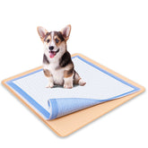 Skywin TidyFriend tray with stable grip base keeps pads in place.