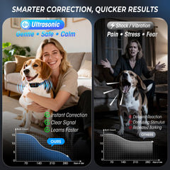 SLAYKAM 7 sensitivity levels tailor corrections to each dog
