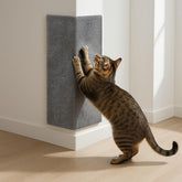 SleepGround wall cat scratcher vertical panel for full-body stretch