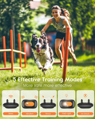 SLOPEHILL collar with built-in flash light for night visibility.