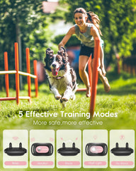 SLOPEHILL dual-channel remote allows training two dogs