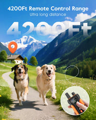 SLOPEHILL remote with two channels for two dogs training.