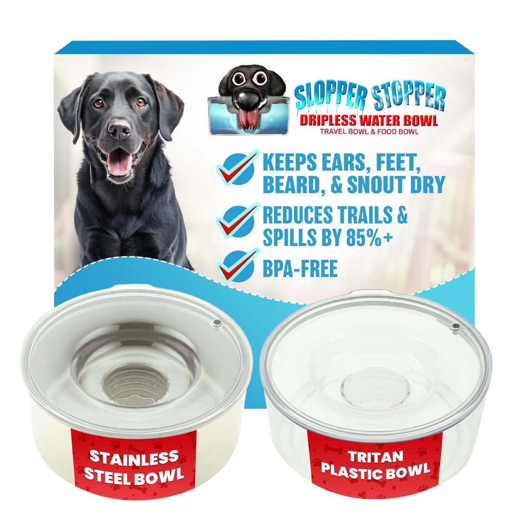 Slopper Stopper dripless bowl with Tritan lid reduces spills during dog hydration.