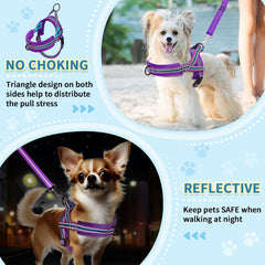 SlowTon adjustable neck and chest straps for precise sizing on small dogs.