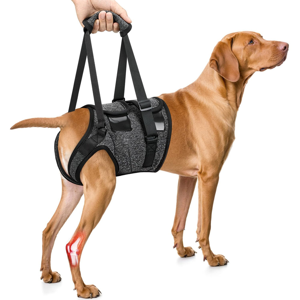 SlowTon Dog Lift Harness front view for secure stairs and walks
