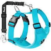 SlowTon dog seat belt harness in light blue with double clip
