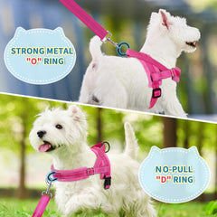 SlowTon easy-on harness with head insertion and snap closure