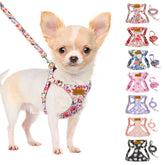 SlowTon Flower XXS harness close-up showing ultra-light fit for tiny dogs.