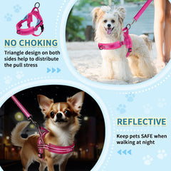SlowTon no-pull harness chest adjustment helps distribute pressure during controlled walks.