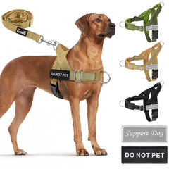 SlowTon No Pull Harness with front clip for easier training and daily walks.