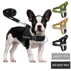 SlowTon no-pull harness front clip for training and gentle direction control.