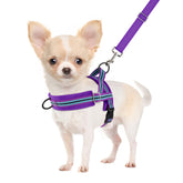 SlowTon No Pull Harness with front clip for calm walking and reduced pulling.