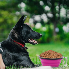 SLSON collapsible dog bowl folded compact for easy packing on hikes.