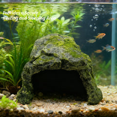 SLWHYZL bearded dragon hideout tank offers a safe resting place for basking reptiles