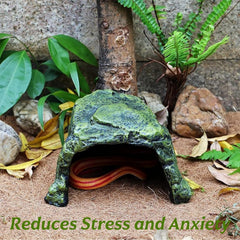 SLWHYZL gecko snake cave aquarium blends concealment with decorative appeal