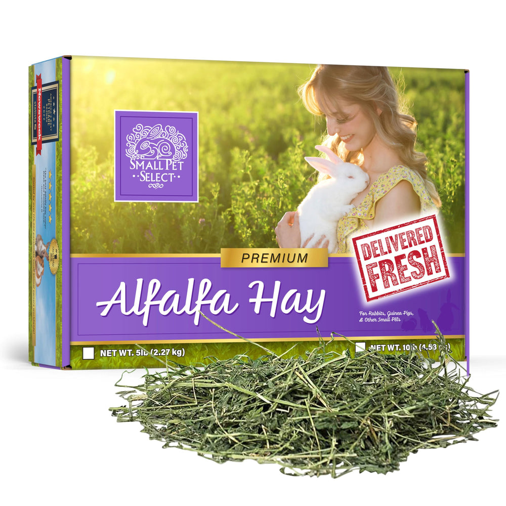 Small Pet Select alfalfa hay box front, fresh and nutrient-rich for growing pets.