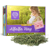 Small Pet Select alfalfa hay box front, fresh and nutrient-rich for growing pets.