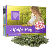 Small Pet Select alfalfa hay box front, fresh leaves for growth support.