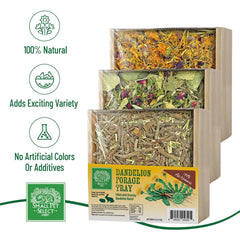 Small Pet Select forage tray bundle dandelion mix displayed for wholesome, earthy snacking.