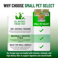 Small Pet Select forage tray bundle in habitat promotes easy daily enrichment for small pets.