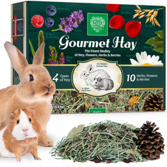 Small Pet Select gourmet hay blend pack for varied nutrition.