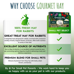Small Pet Select hay topper being added to forage for enrichment.