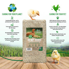 Small Pet Select hemp hurd bedding reduces odors in poultry coop.