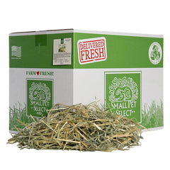 Small Pet Select oat hay bundle, fresh variety to engage small pets.