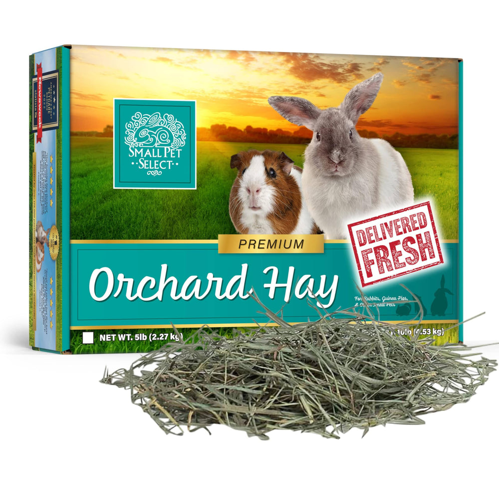 Small Pet Select Orchard Grass Hay fresh meadow bale, ideal for rabbits and guinea pigs.