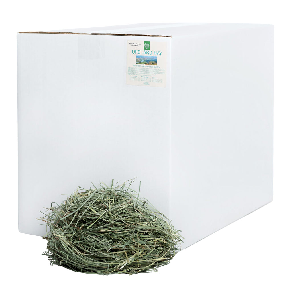 Small Pet Select Orchard Hay bag close-up showing fresh, low-dust texture for small pets.