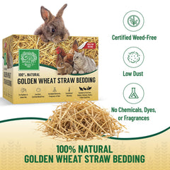 Small Pet Select wheat straw bedding in habitat demonstrates breathable comfort for daily living